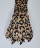 Animal Faux Fur Scarf With Paw AHP1060