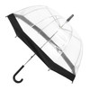 Auto Open Clear Umbrella with Color Border -UC18