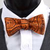 Silk Woven Paisley Freestyle Bow Tie FBS4711