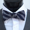 Silk Woven Striped Freestyle Bow Tie FBS3607