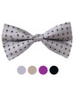 Banded Silk Printed Bow Tie SBB2040