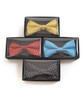 Banded Silk Printed Bow Tie SBB2050