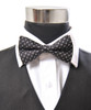 Banded Silk Printed Bow Tie SBB2050