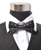 Banded Silk Printed Bow Tie SBB2080