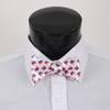 Men's Republican Self-Tie Freestyle Bow Tie NFSB-R