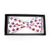 Men's Republican Banded Bow Tie - NFB1022-23