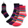 3 Pairs Assorted Pack Women's Crew Socks 3PKS-WCS5