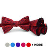 Paisley Pattern Banded Bow Tie & Matching Hanky Pocket Round Set BTH170336