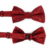 Paisley Pattern Banded Bow Tie & Matching Hanky Pocket Round Set BTH170336