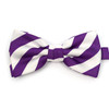 Micro Fiber College Banded Bow Tie CBB3801