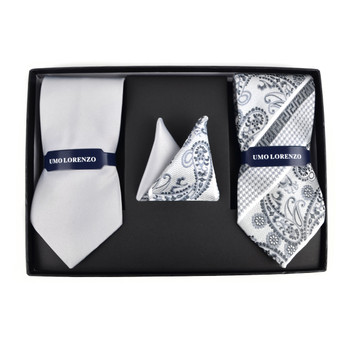 Paisley & Solid Tie with Matching Hanky Box Set - THX12-SIL-1
