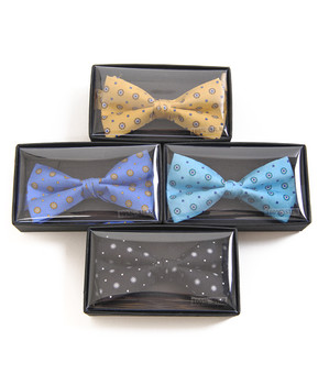 Banded Silk Printed Bow Tie SBB2080