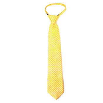 Boy's 14" Small Paisley Yellow Zipper Tie Boy's 14" Small Paisley Yellow Zipper Tie