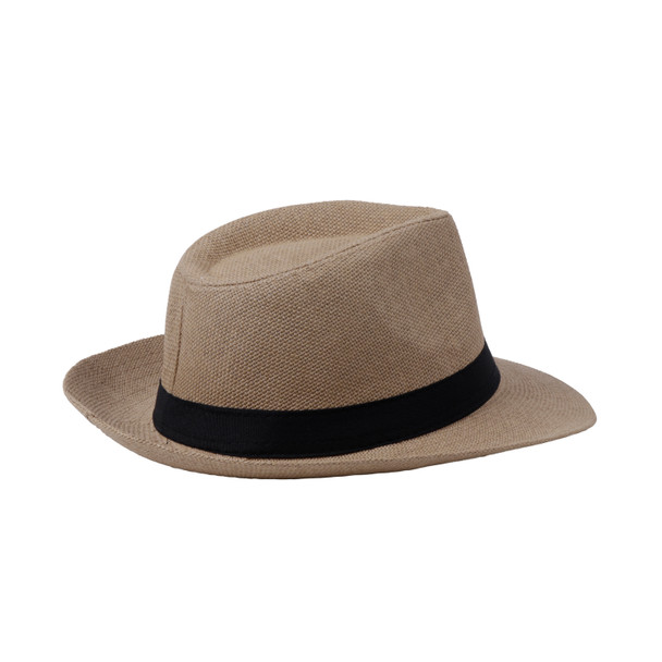 Spring/Summer Wide Brim  Fedora Hat - H180601