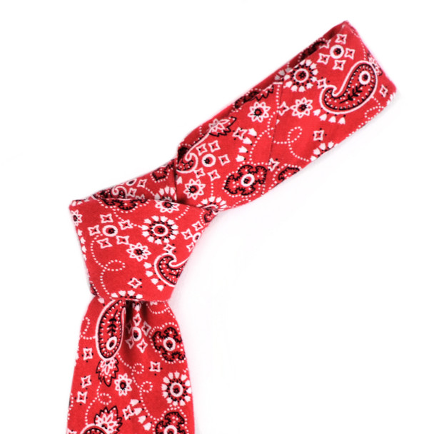 2.25" Paisley Cotton Slim Tie - NVC-PAISLEY