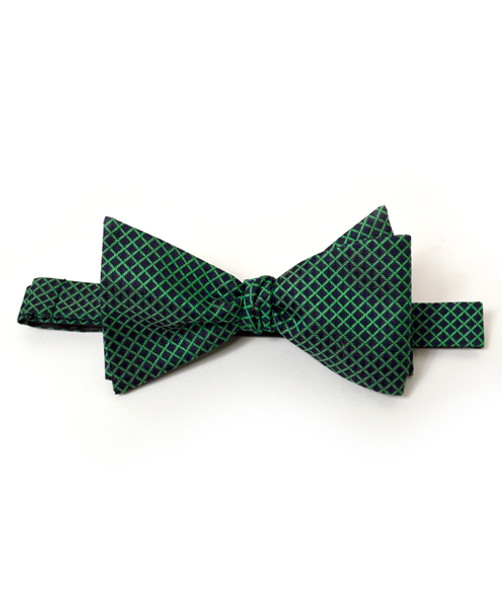 Silk Woven Freestyle Bow Tie FBS4703