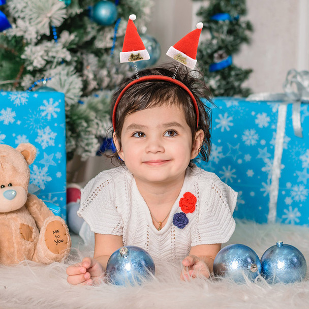 24 pcs Random Assorted Christmas Novelty Accessories - XMAS-ASST 24 pcs Random Assorted Christmas Novelty Accessories - XMAS-ASST