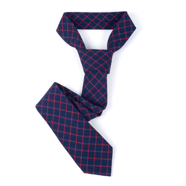 Men's 100% Cotton Checkered Ties 14 - NVC3014