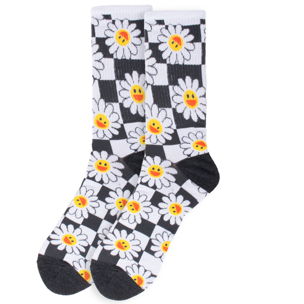 Men's Checker Daisy Ribbed Socks -NVPS2040-CHAR