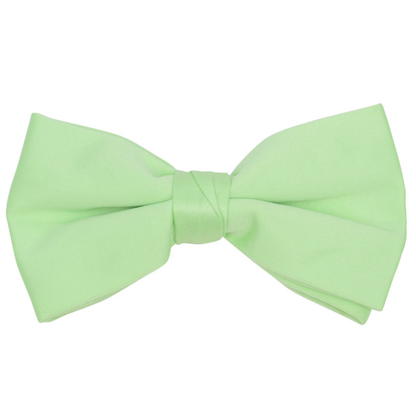 Boxed Boy's Poly Satin Clip On Bow Ties - BBC1701BX