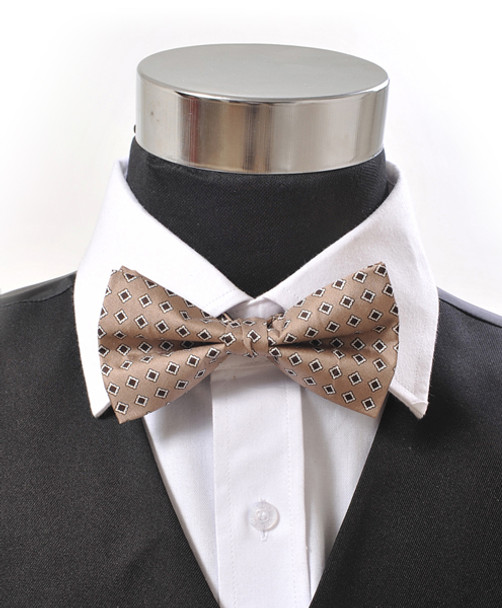 Banded Silk Printed Bow Tie SBB2040