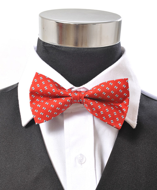 Banded Silk Printed Bow Tie SBB2050