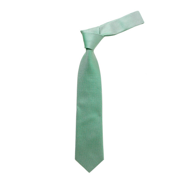 Boy's 49" Micro Woven Green Fashion Tie