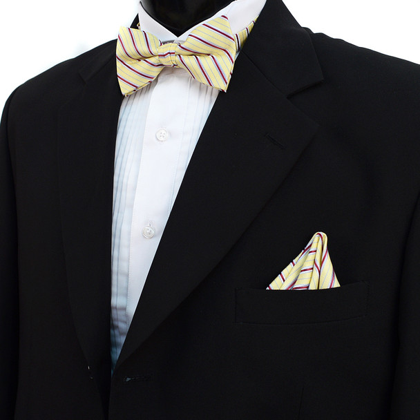 Striped Banded Bow Tie & Matching Hanky Pocket Round Set BTH170329