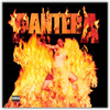 Pantera 'Reinventing the Steel' LP Black Vinyl