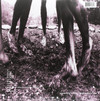 Pearl Jam 'Vs. (Remastered)' LP Black Vinyl