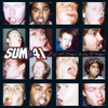 Sum 41 'All Killer No Filler' LP 180g Black Vinyl