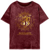 Harry Potter 'Gryffindor Constellation' (Acid Wash) Womens T-Shirt