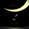 Tedeschi Trucks Band 'I Am The Moon: III. The Fall' LP Black Vinyl