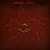 Machine Head 'The Burning Red' LP Black Vinyl