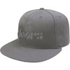 The Doors 'Logo' (Grey) Snapback Cap