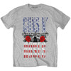 Guns N' Roses 'US Flag in Logo' (Grey) T-Shirt