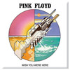 Pink Floyd 'Wish You Were Here Graphic' Fridge Magnet