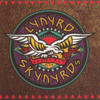 Lynyrd Skynyrd 'Skynyrd's Innyrds' LP Black Vinyl