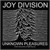 Joy Division 'Unknown Pleasures' Patch