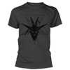 Alice In Chains 'Black Skull' (Grey) T-Shirt