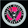 Velvet Revolver 'Libertad' Fridge Magnet