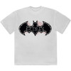 Batman 'Bat Skull & Cobwebs' (White) T-Shirt