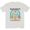 Iron Maiden 'Powerslave Egypt' (Heather Grey) T-Shirt