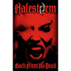 Halestorm 'Back From The Dead' Textile Poster