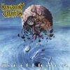 Malevolent Creation 'Stillborn' LP Transparent Blue Vinyl