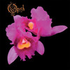 Opeth 'Orchid' CD Digisleeve