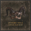 Jethro Tull 'Curious Ruminant' LP 180g Gatefold Black Vinyl