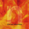 Nine Inch Nails 'Broken' LP Black Vinyl +7"