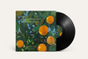 Lana Del Rey 'Violet Bent Backwards Over The Grass' LP Black Vinyl