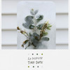 La Dispute 'Tiny Dots' DVD